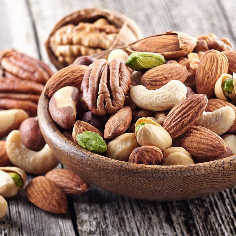 Ajil cat - صفحه نخست