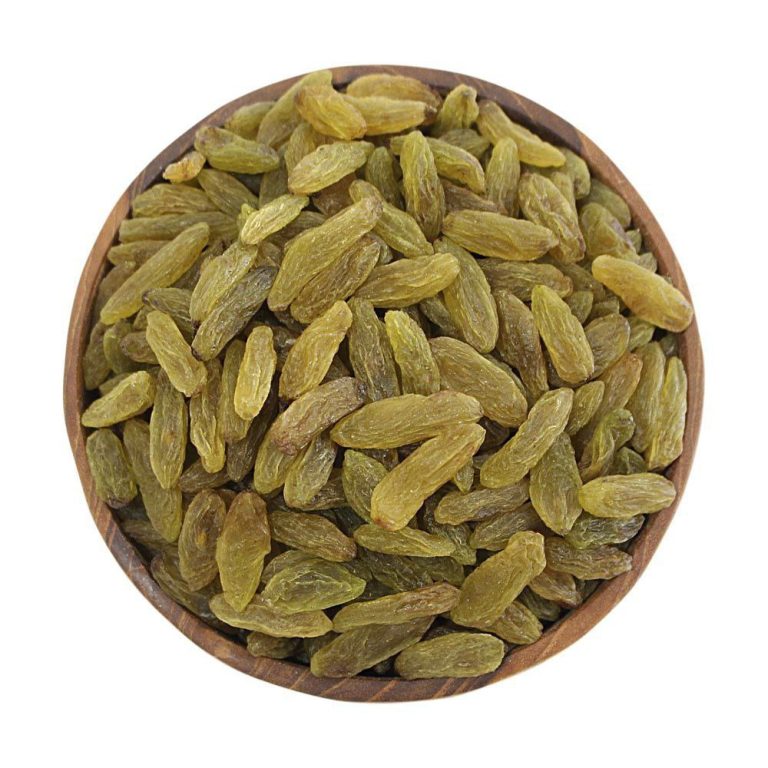 photo 2024 09 20 21 26 52 - پرفروش ترین‌ها