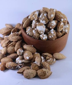 photo 2024 10 14 23 56 25 - صفحه نخست