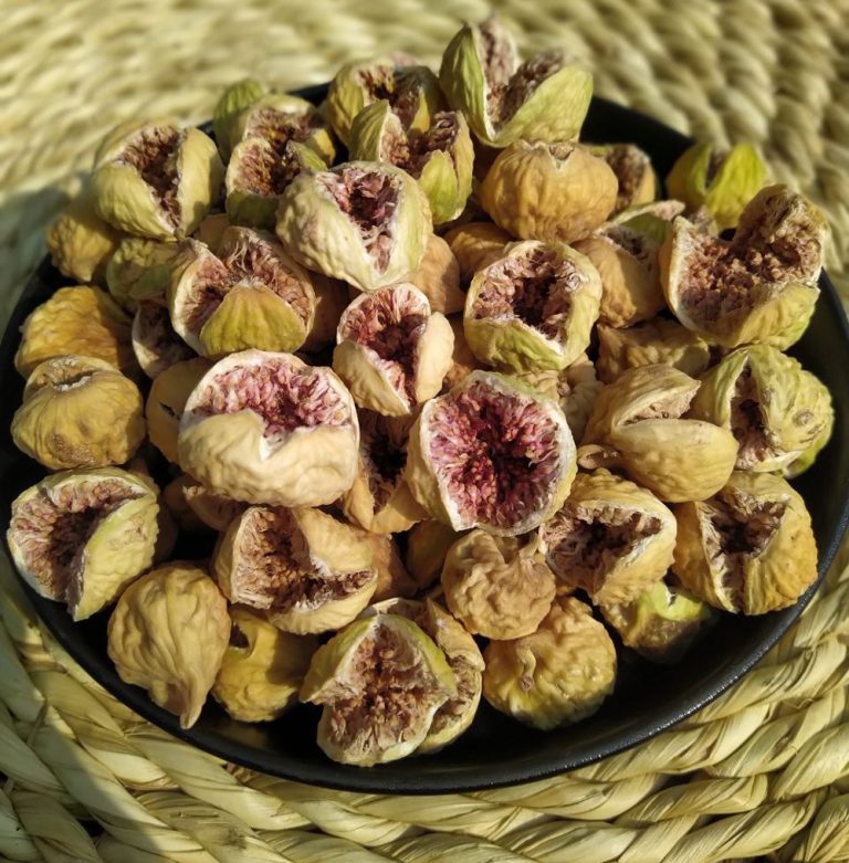 photo 2024 10 26 23 11 10 - پرفروش ترین‌ها